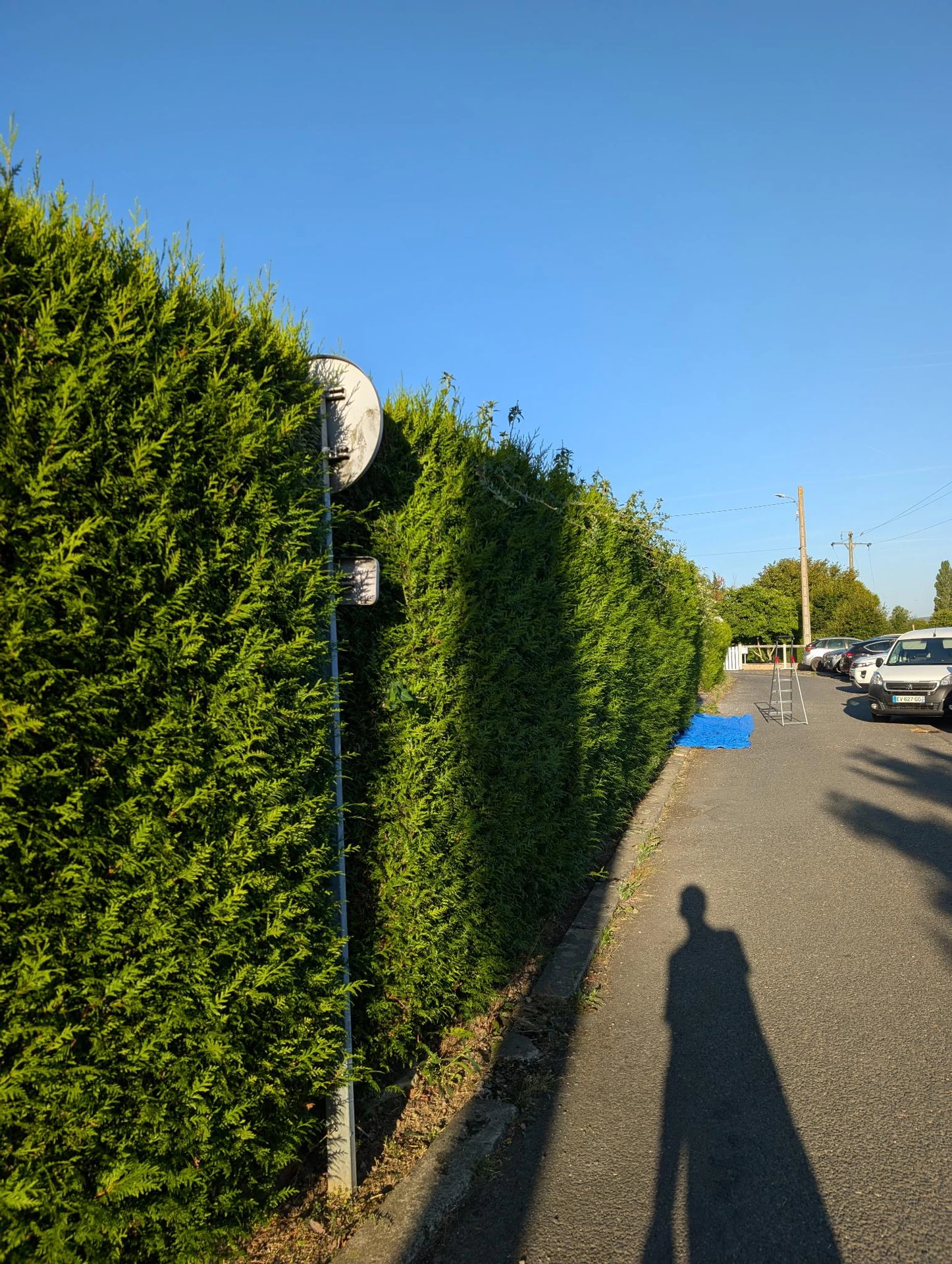 before-image