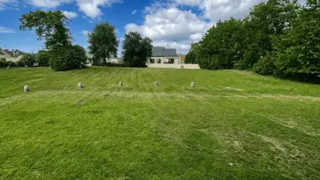 entretien de jardin à Argentan - image 4