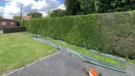 entretien de jardin à Falaise - image 3