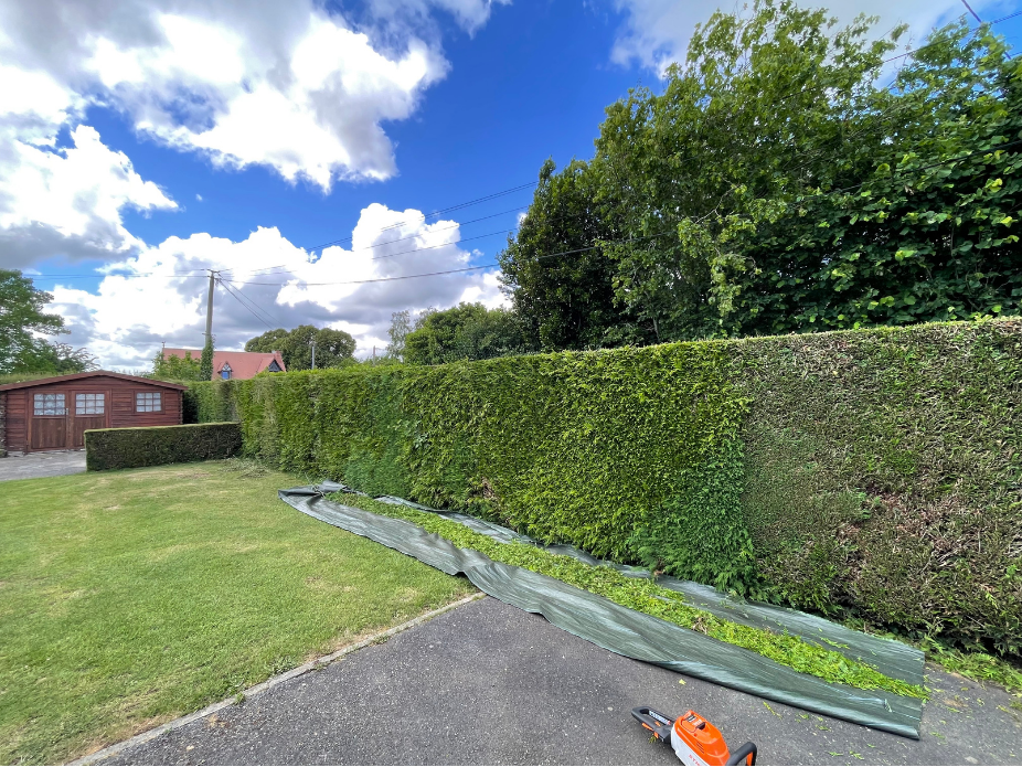 before-image