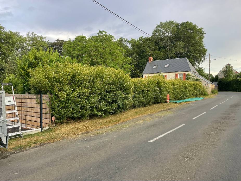 before-image