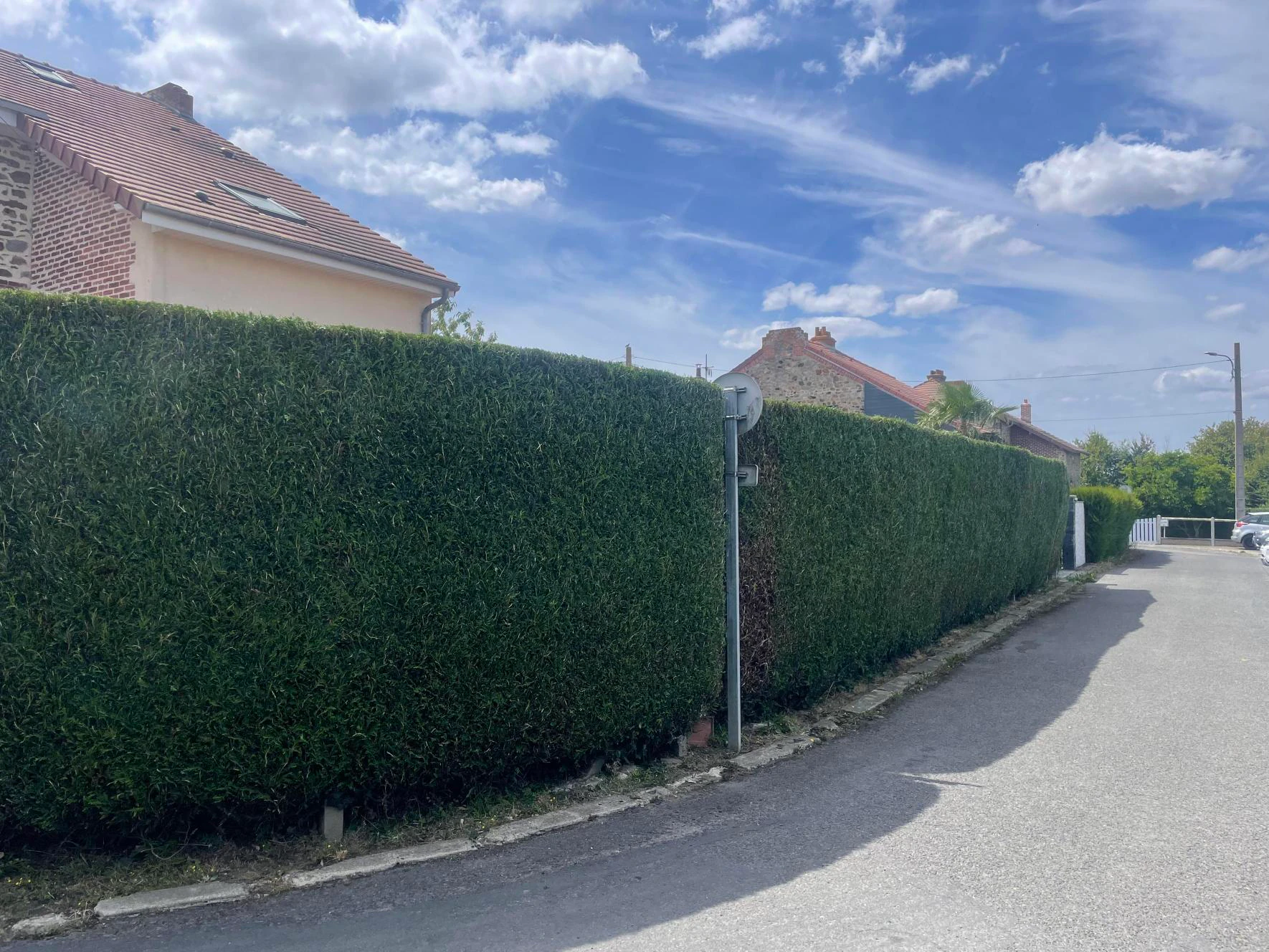 after-image