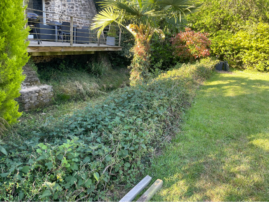 before-image