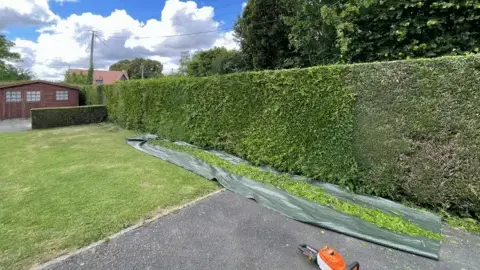 entretien des espaces verts à Argentan - image 4