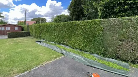 entretien des espaces verts Caen-1