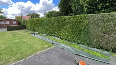 entretien des espaces verts à Falaise - image 3